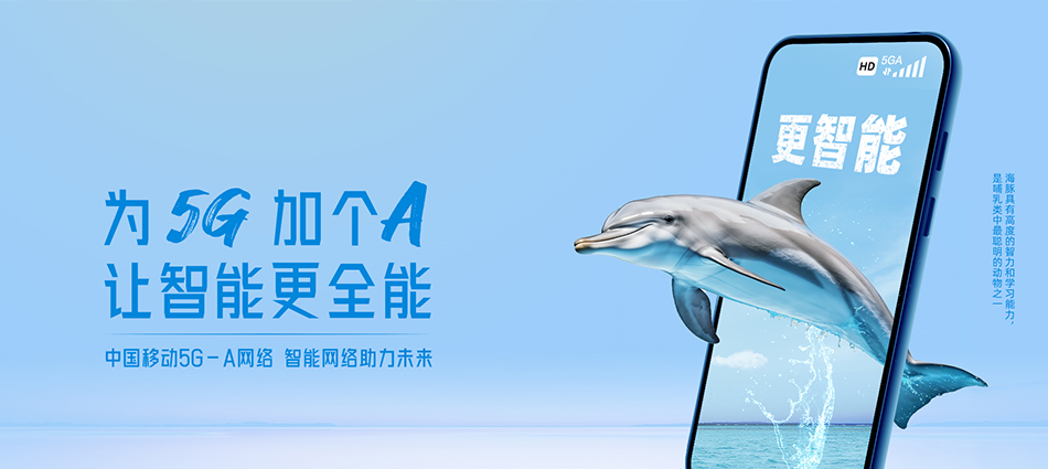 中国移动洋县移动宽带